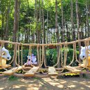 (주)멀티게이트코리아 | 서울숲 포켓몬 시크릿 포레스트 후기 (대기 1100팀 실화)