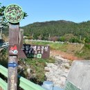돈지백구마을 | 코리아둘레길 서해랑길8코스 진도구간(운림산방-삼별초공원-송정지-아리랑관광관광지입구-귀성삼거리...