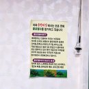 룡천짬뽕 | 화도읍 룡천짬뽕 중화요리 국물이 깔끔한 중식집 내돈내산 솔직후기