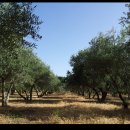 아버님농장 이미지