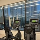 강해 | 정관헬스장 강해짐 정관점 후기💪 운동맛집 인정
