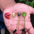 향미농장 이미지