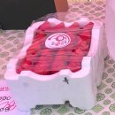 양곡농협쌀직판장 | [딸기팝업페스타] 청주 딸기축제 방문 후기+4월 딸기 축제 일정