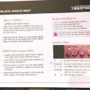 눈꽃소 이미지