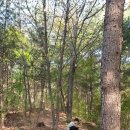 한천약수터 이미지