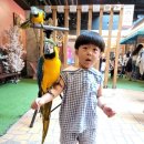 엉클슈즈 이미지
