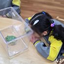 안진초등학교 이미지