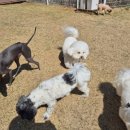 워니시티 이미지