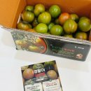 덕우농장 | 부산 대저 짭짤이토마토 2.5KG 후기 건강간식으로 딱 덕우농장 추천