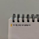 린슈가