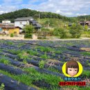 털보민박펜션 이미지