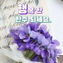 윤태화 조사하면 다 나온다 &뉴스 이미지