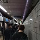 한겨레약국 | 20250407-0413(일본생활 D+921-927) - 주간일기