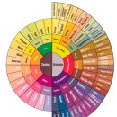 커피나무 꽃향기 이미지