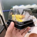 와카롱 | [남양주 맛집/내돈내산]카페 하백