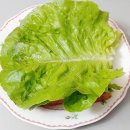 (주)바이오헬릭스 | [지후맘/(주)이정파트너스] 무농약인증 아쿠아포닉스 친환경 봉채소 신선해서 샐러드 쌈채소로 추천해요~!