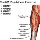 리세핏 이미지