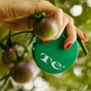 데일리풀 이미지