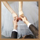 더 데이지(The Daisy)
