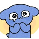 씨이오플라워 네이버블로그
