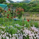 농업회사법인 남해(주) 이미지