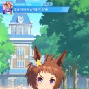 <b>비코</b> 페가수스 서포트 카드