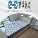 영남수퍼인근 | 좌천매트리스 고민 중이라면 씰리침대 동부산점에서 콘체르토 + 아테네 프레임 추천!
