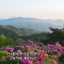 계당산 _ 정용주 이미지