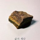 허니팟