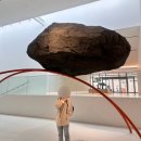 2025년 섬 수선화축제 | 2025년 화담숲 수선화축제 후기| 예약, 주차, 모노레일, 화담채