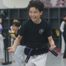 라이온태권도 이미지