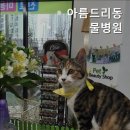 광교호수 동물병원 네이버블로그
