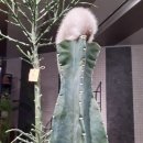 광교호수공원로 이미지