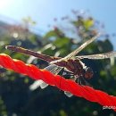 오늘참예쁘다(2) 이미지