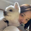 아지공간 이미지