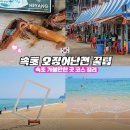 속초 가볼만한곳과 속초 오징어난전 섞어서 짠 반나절 코스