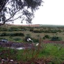 사이(42)Hotel 이미지