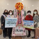 시흥미소한방병원 Daum카페
