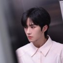 수연 이미지