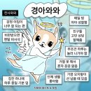 나래체육관 | 살아들 계신가요 저는 죽었습니다