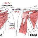 포천신경외과의원 이미지
