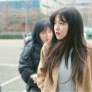 홍일점 이미지