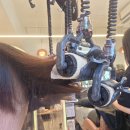 M.C헤어하우스 | 서울대입구역 미용실 C컬펌 잘하는 곳 사라헤어하우스