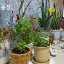 용선농장 이미지