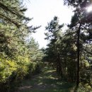 대부해솔길 2코스 이미지