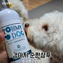토미코리아 | 토미독코리아 약산성 강아지 순한샴푸 사용후기