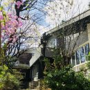 나루호스텔 이미지