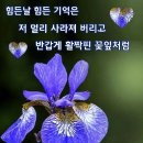 인사말 이미지 3.15(토요일) 이미지