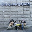 금곡천 | 단양에서 만난 뜨거운 여름(단양야간미션투어)