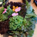 장안농장 이미지